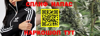 СК Тула