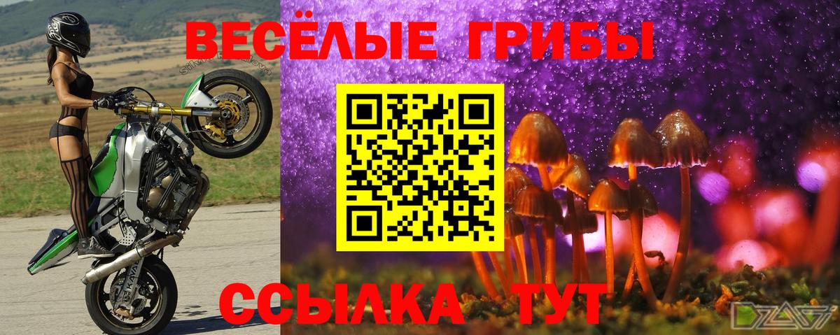 Псилоцибиновые грибы мухоморы Озёры